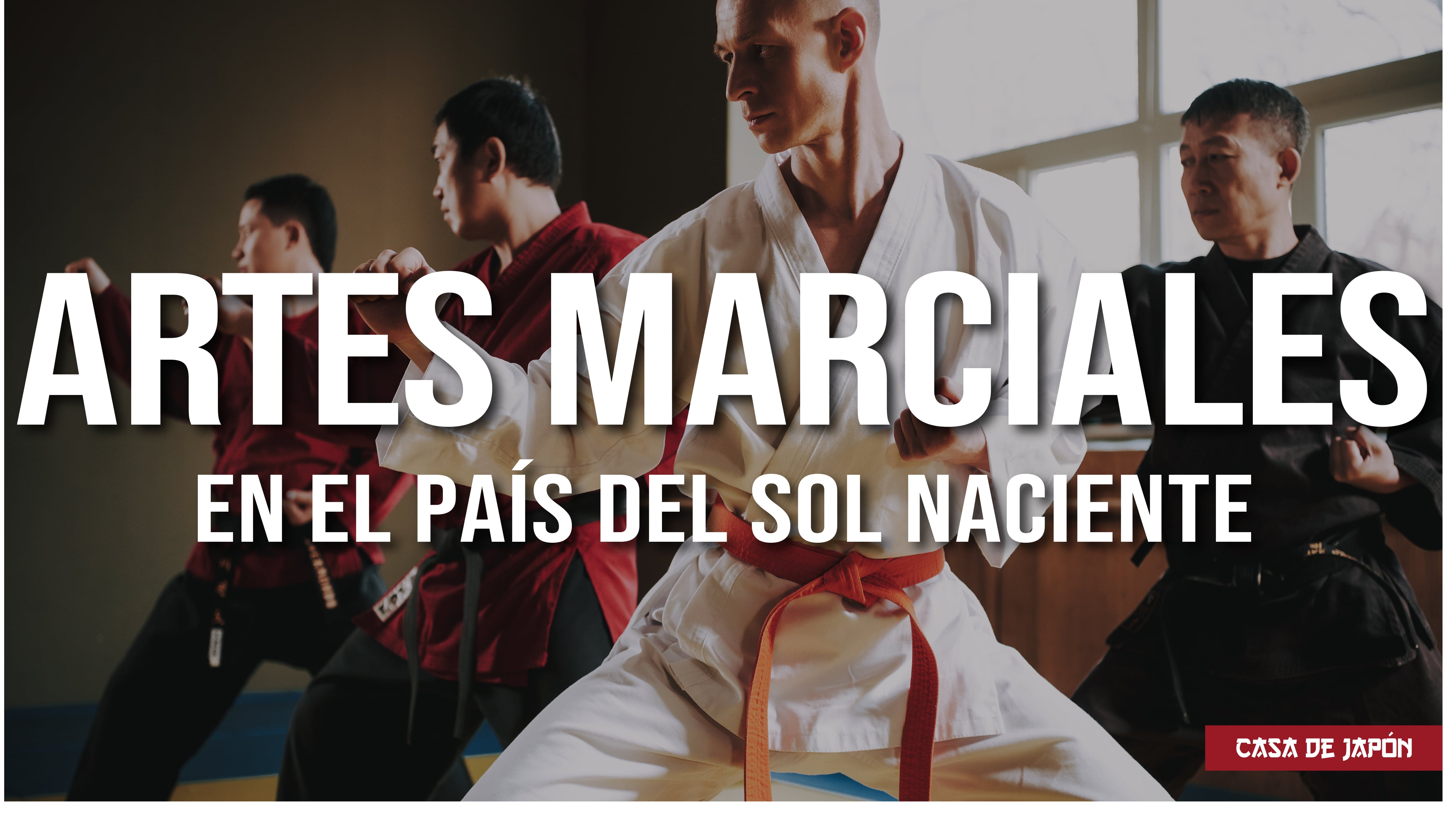 Artes Marciales Japonesas