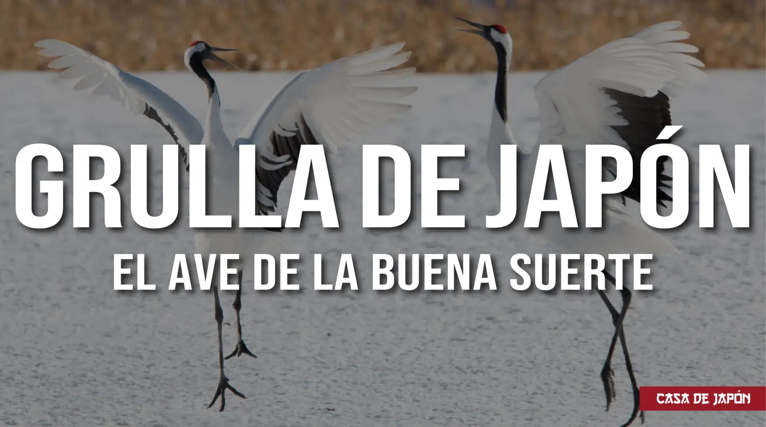 La Grulla Japonesa