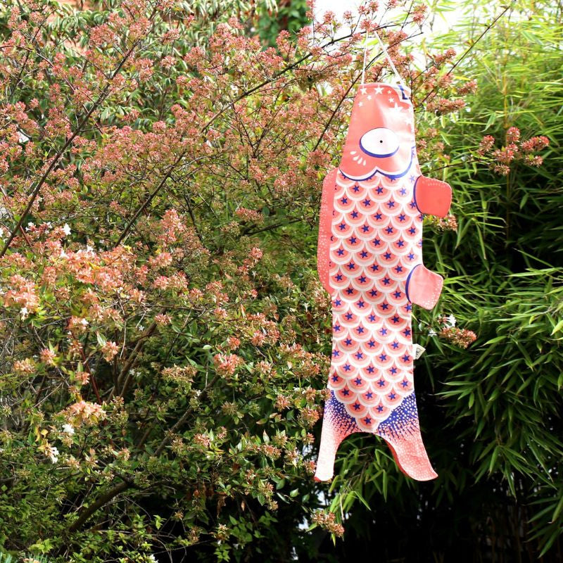 Koinobori Tradicional Rosa - 70 cm