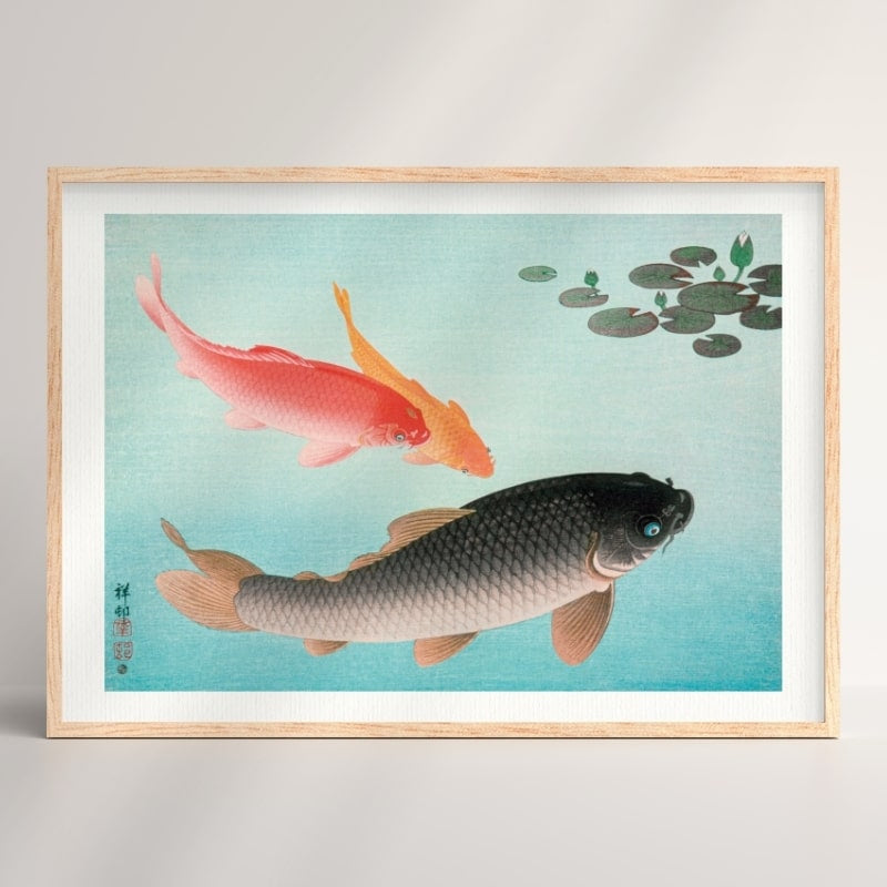 Póster Japonés Carpa A3