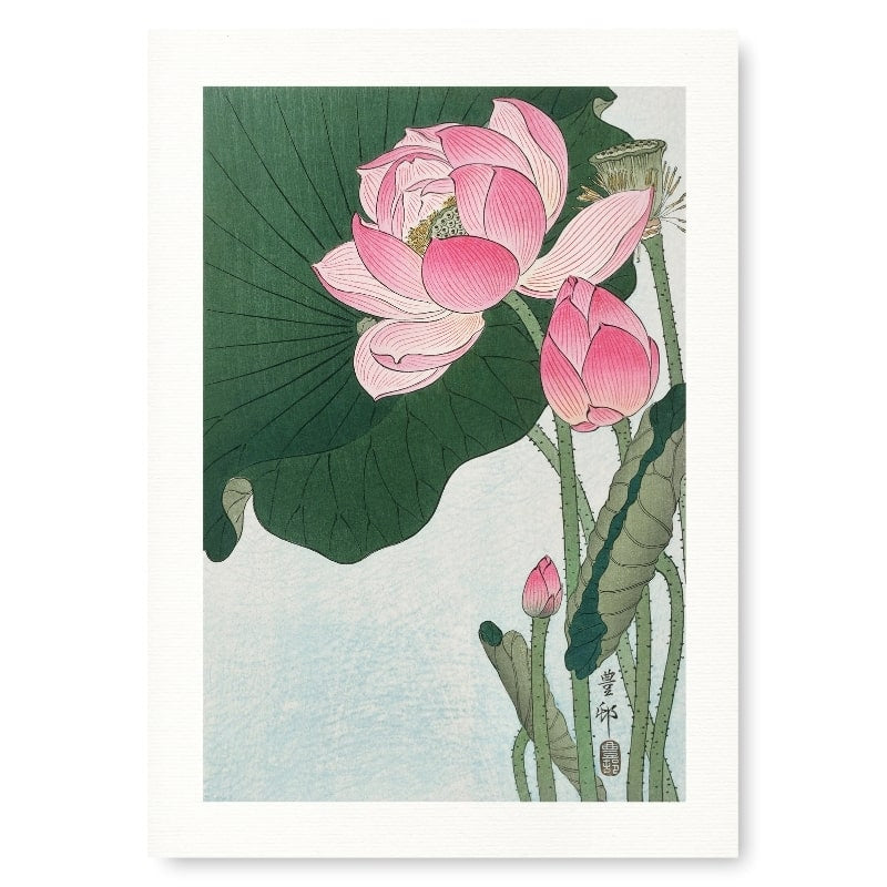 Póster Japonés Flor de Loto A3