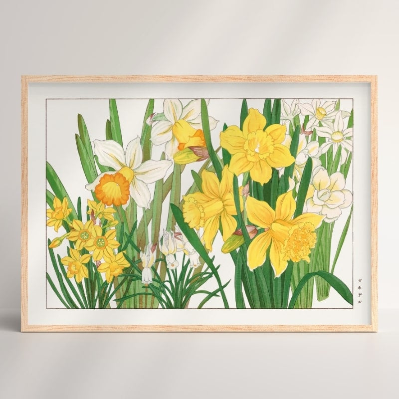 Póster Japonés Narciso A3