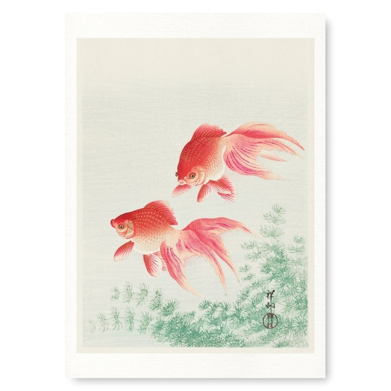 Póster Japonés Peces de Colores A3