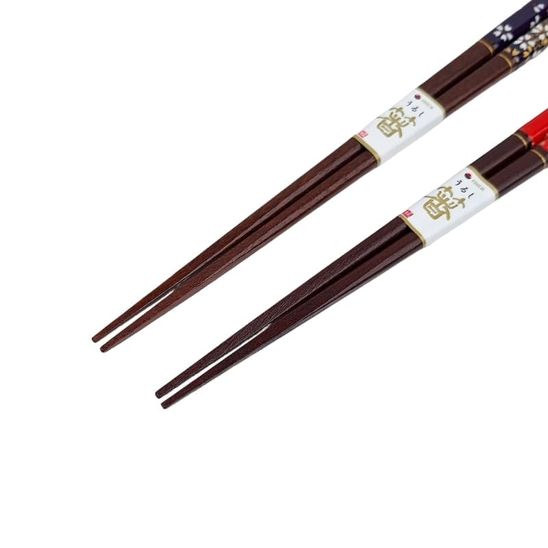 Set de Palillos Japoneses Rojos y Azules