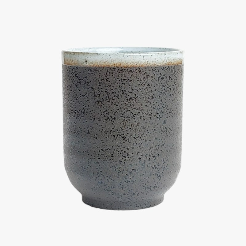 Taza Japonesa Tenmoku