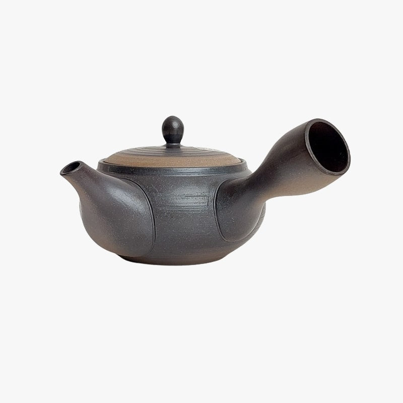 Tetera japonesa Kyusu Tokoname