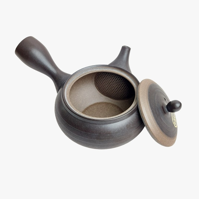 Tetera japonesa Kyusu Tokoname