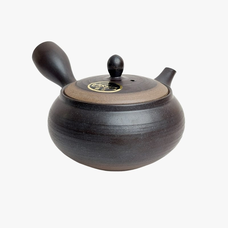 Tetera japonesa Kyusu Tokoname