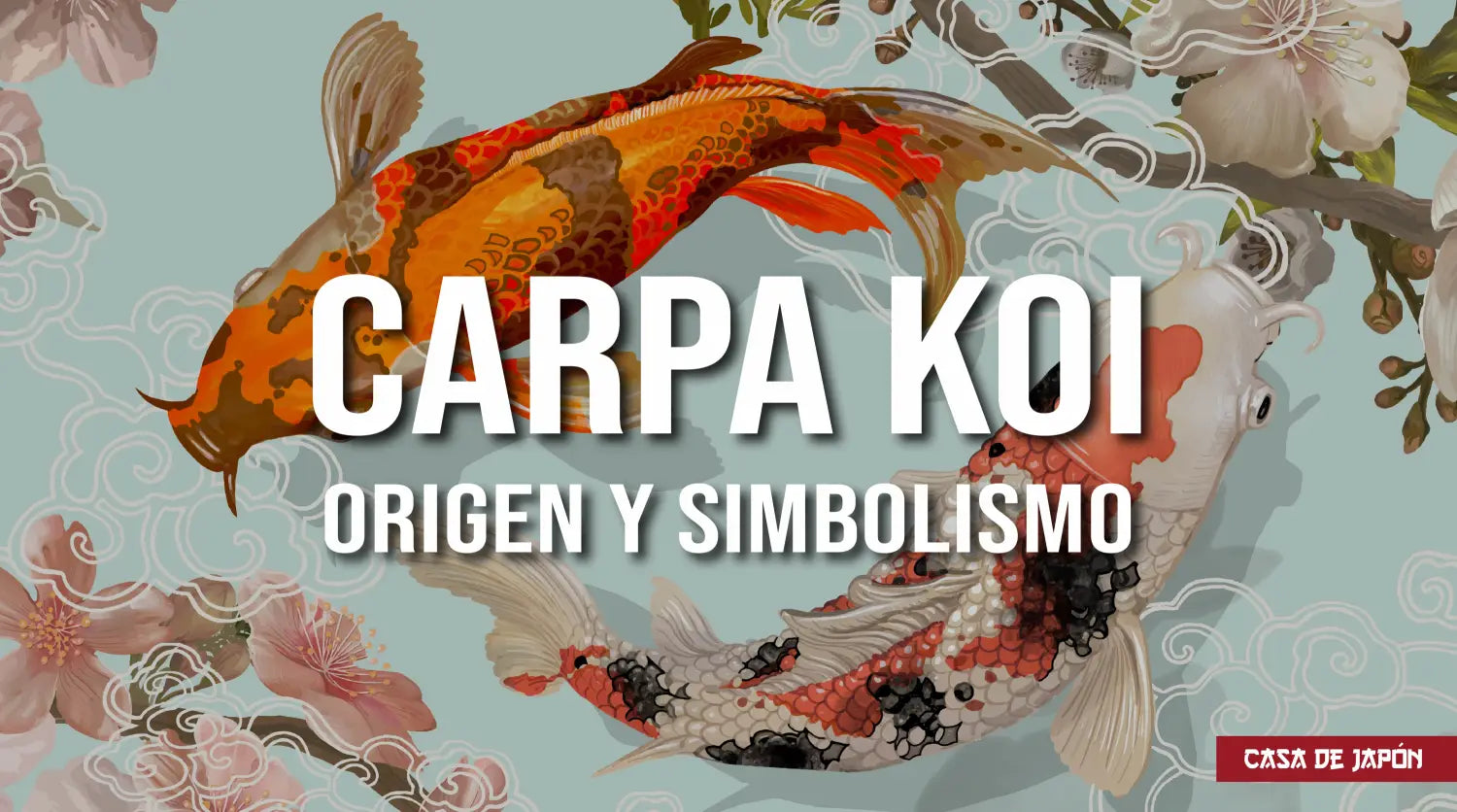 significado de carpe koi