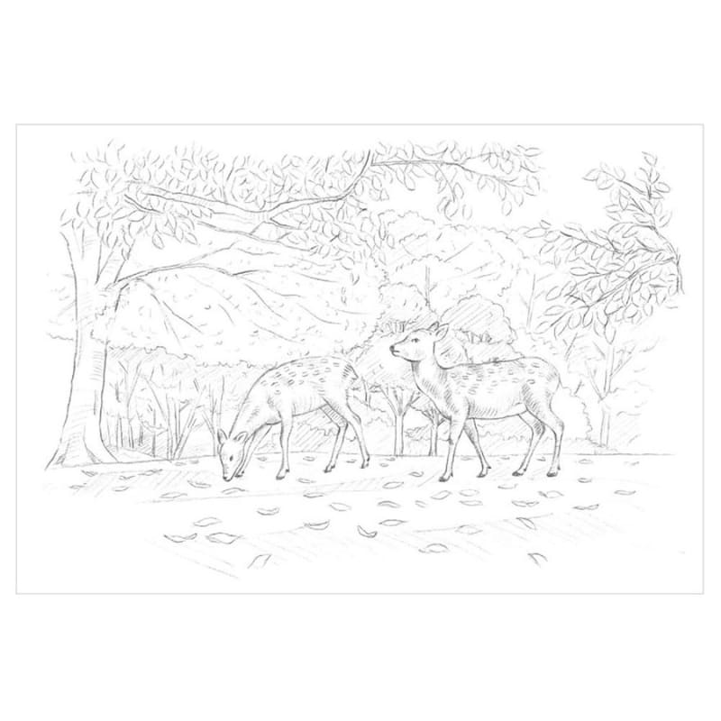 Colorear para adultos: Las cuatro estaciones de Nara