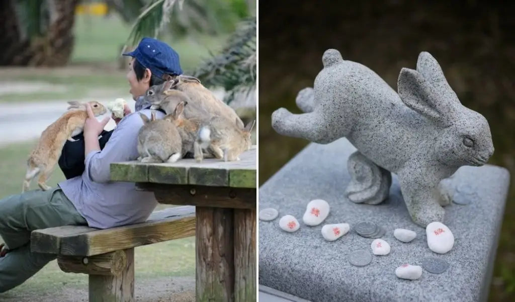 la isla de los conejos