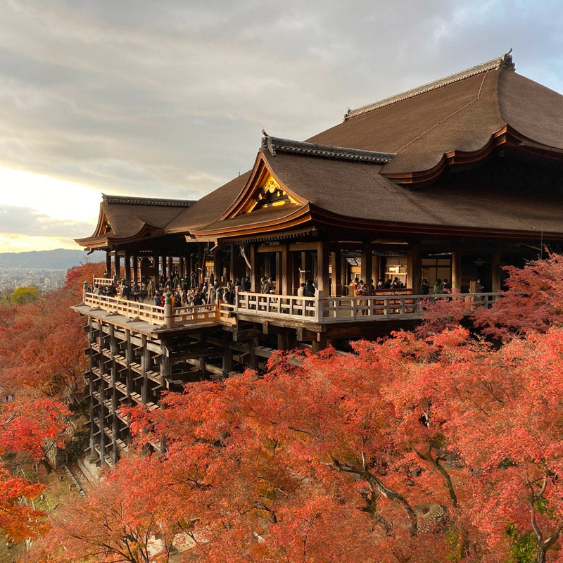 Maqueta Japonesa Mini - Templo Kiyomizu-dera