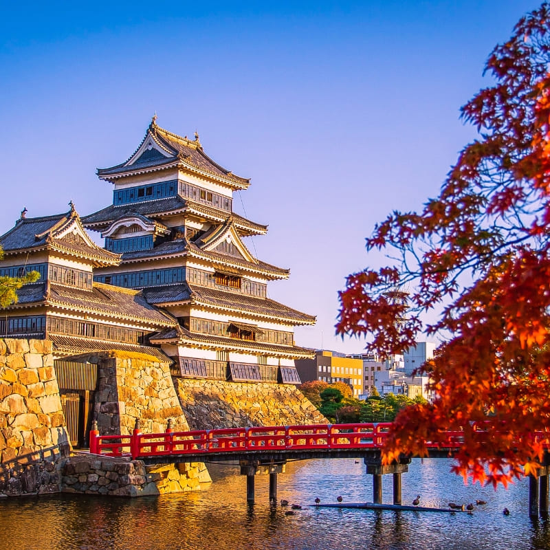 Maqueta japonesa en miniatura - Castillo de Matsumoto