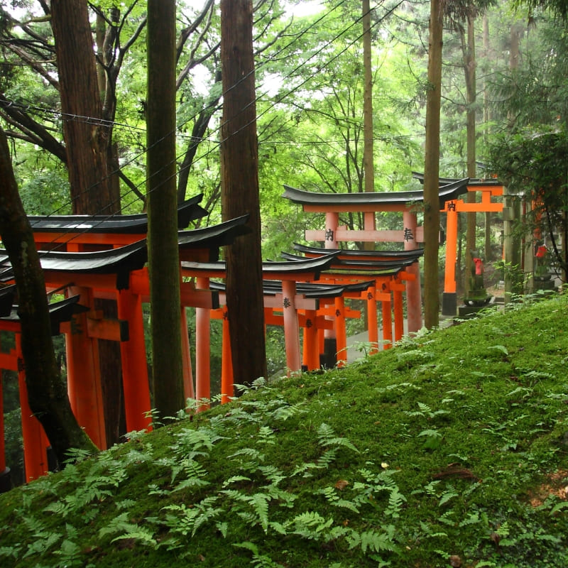 Maqueta japonesa - Santuario de Fushimi Inari