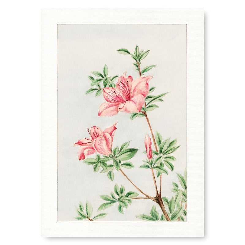 Pintura Japonesa Azalea A3
