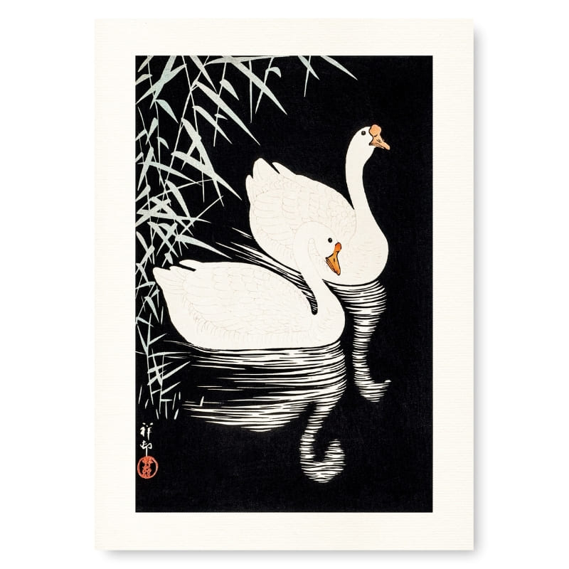 Póster Japonés Gansos Blancos A3