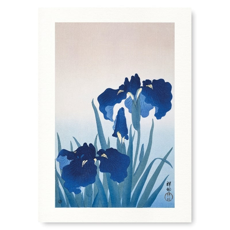 Póster Japonés Iris Azul A3