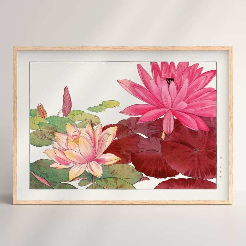 Póster Japonés Nymphaea Lotus A3