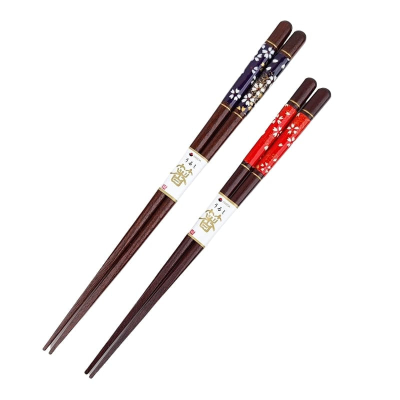 Set de Palillos Japoneses Rojos y Azules