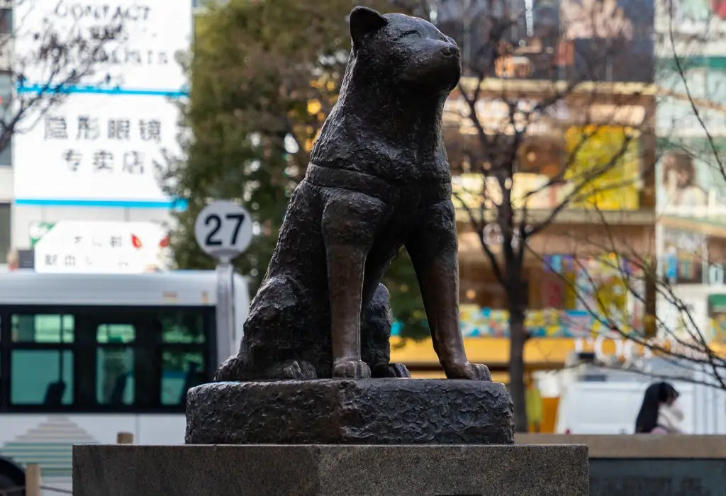 estatua hachiko