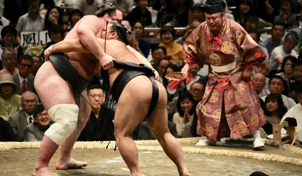 combate de sumo