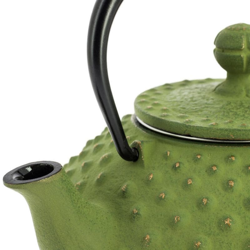Tetera Japonesa Iwachu de Hierro Fundido Verde 350 ml