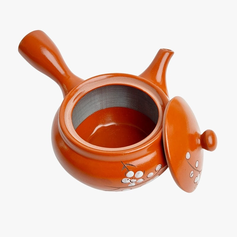 Tetera japonesa Kyusu roja