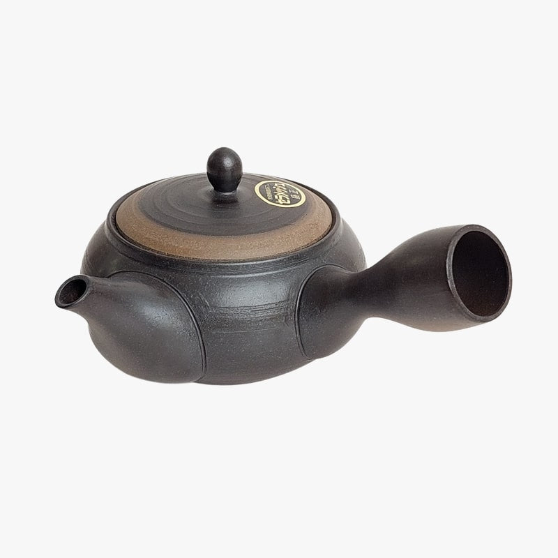 Tetera japonesa Kyusu Tokoname