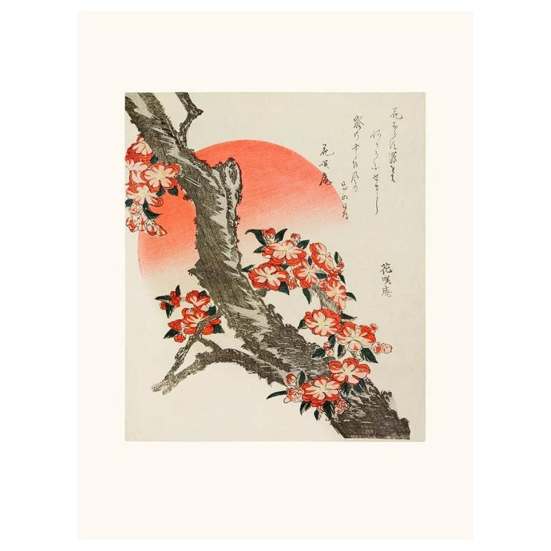 Póster de los cerezos japoneses en flor - A3